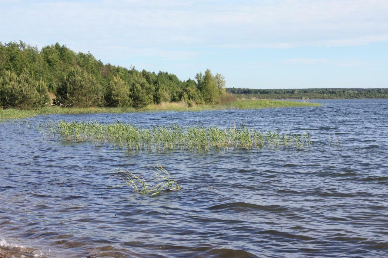Heideblick * Grafenhainichen